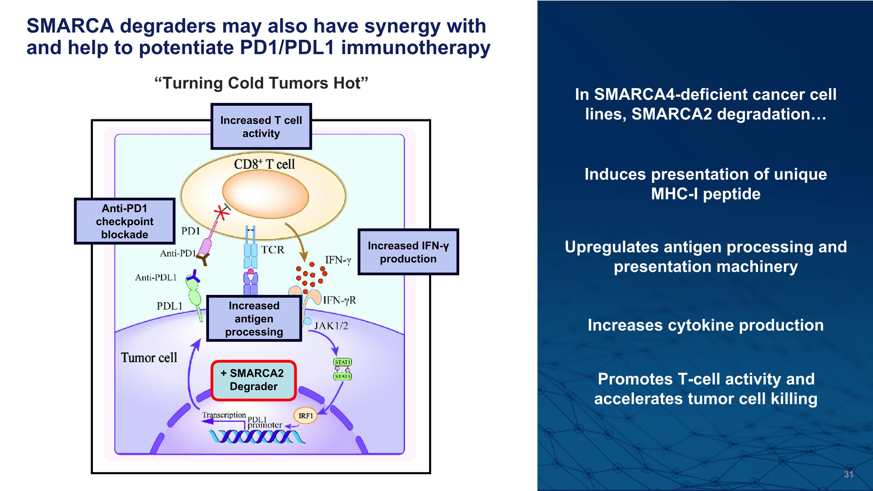 Slide 31