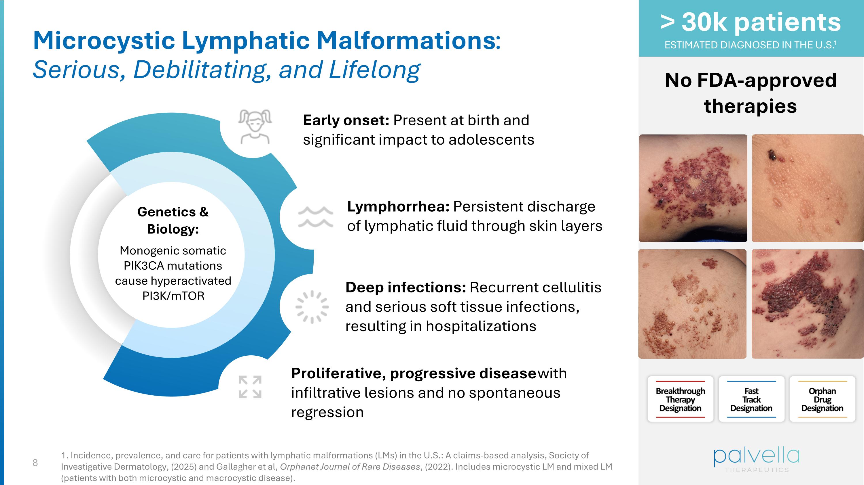 Slide 8
