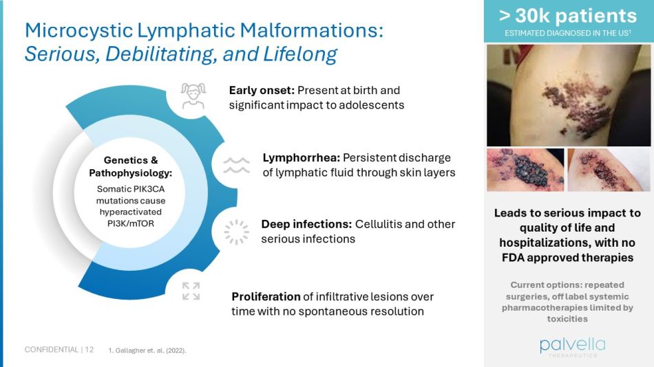 slide12.jpg