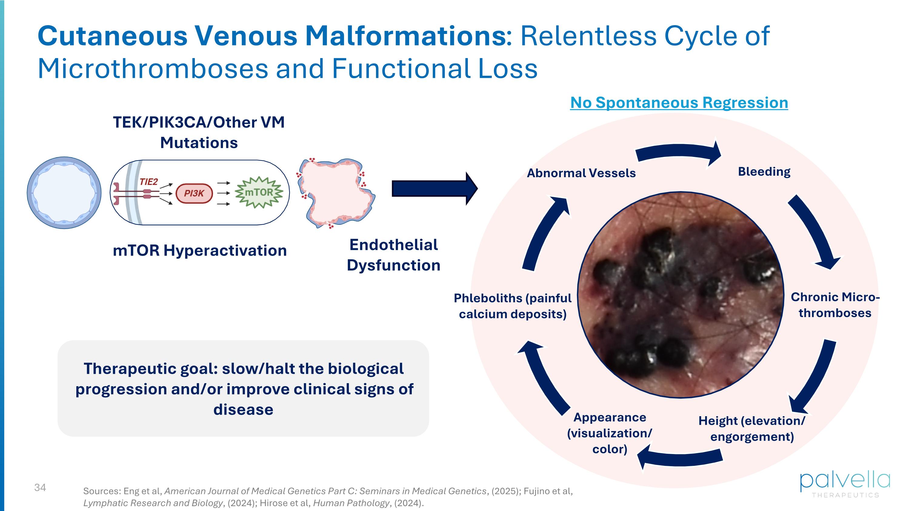 Slide 34