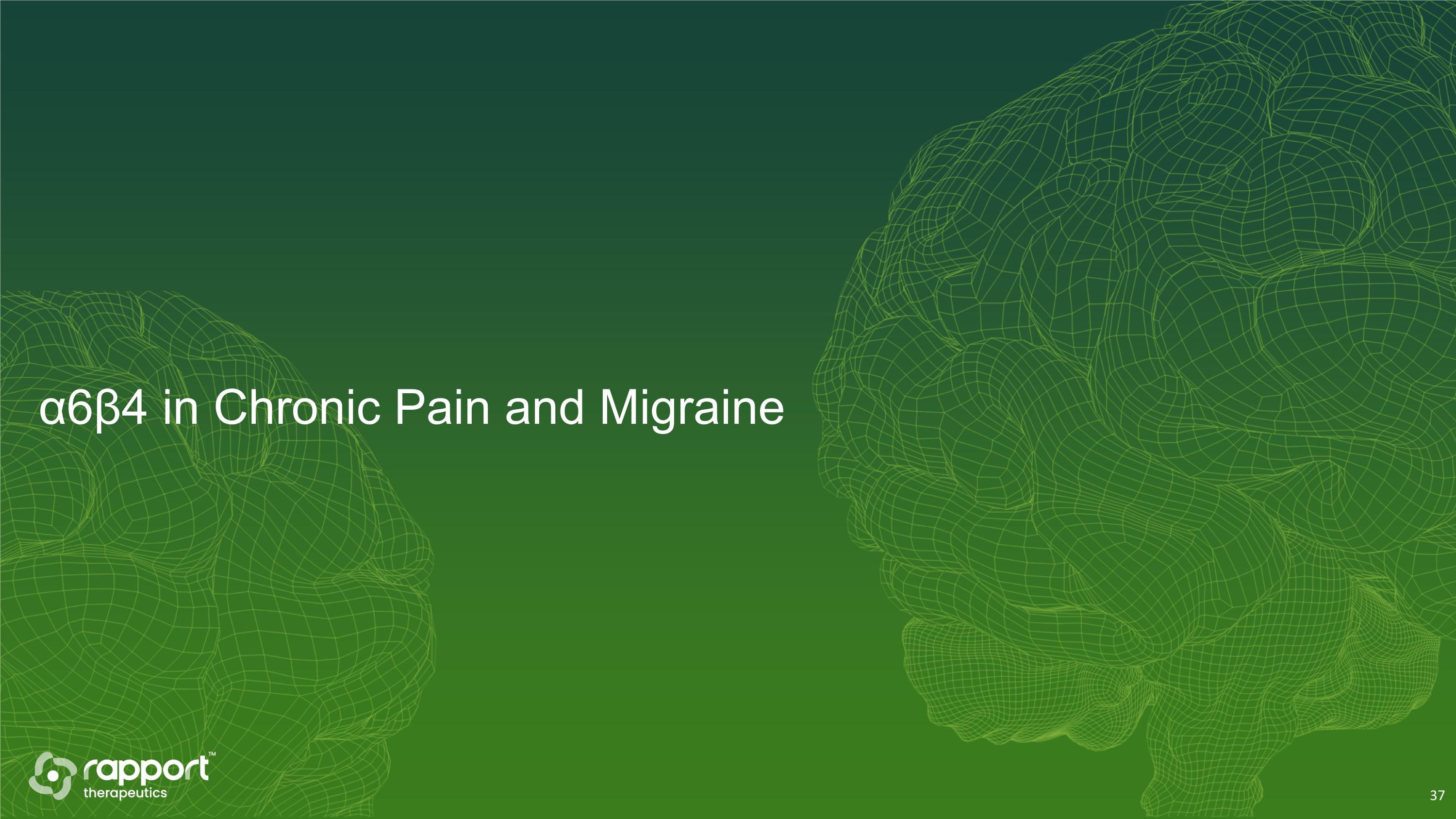 Slide 37