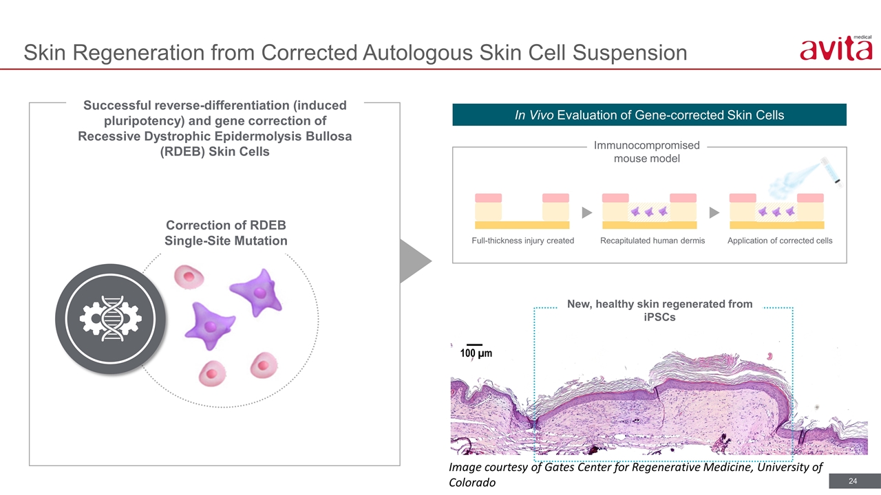 Slide 24