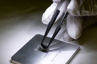 Graphic