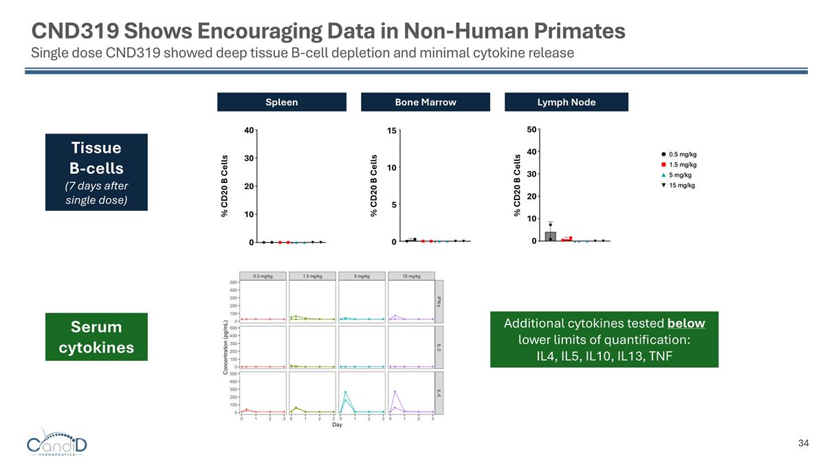 Slide 34