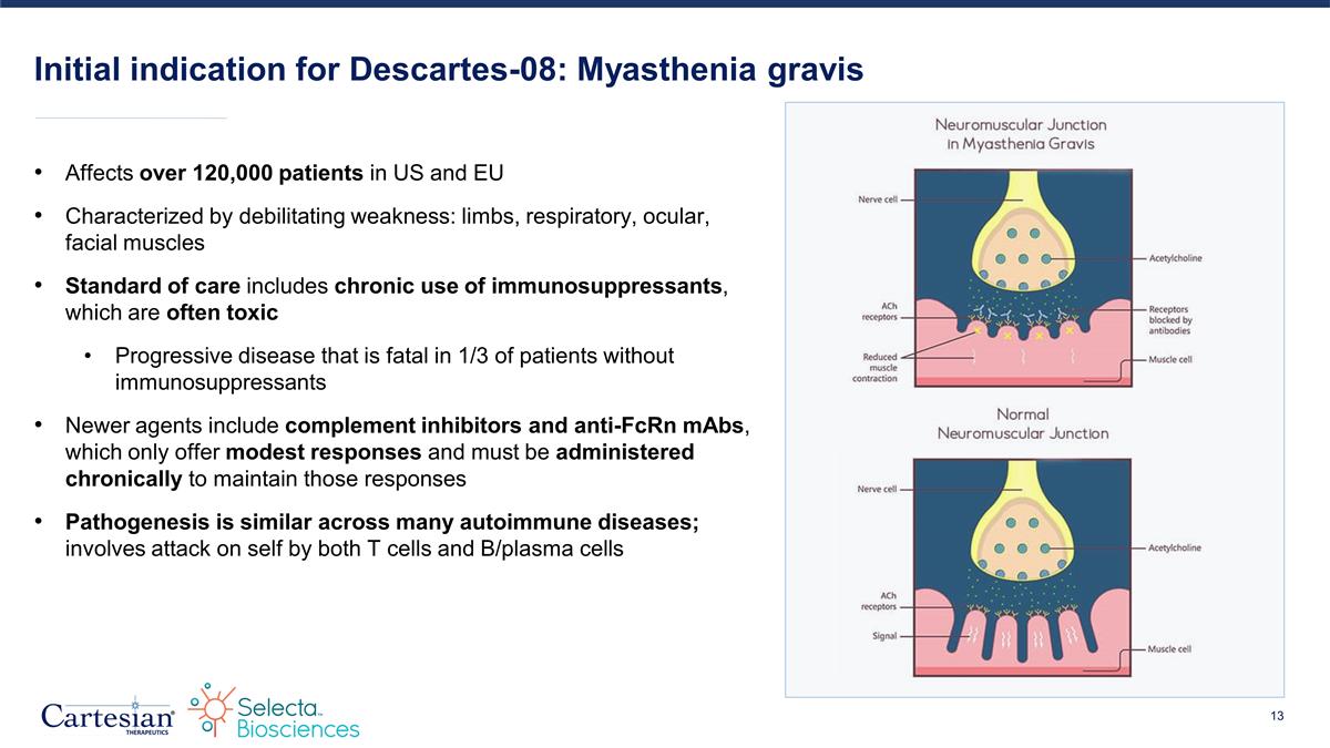 Slide 13