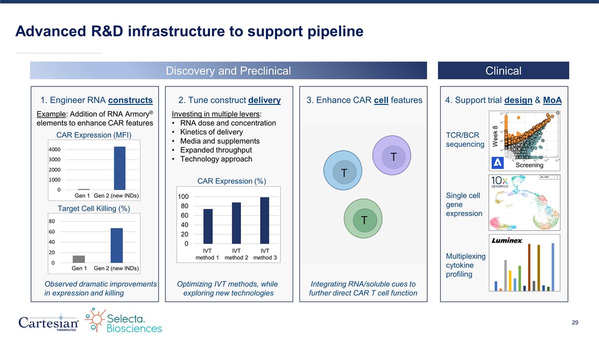 Slide 29