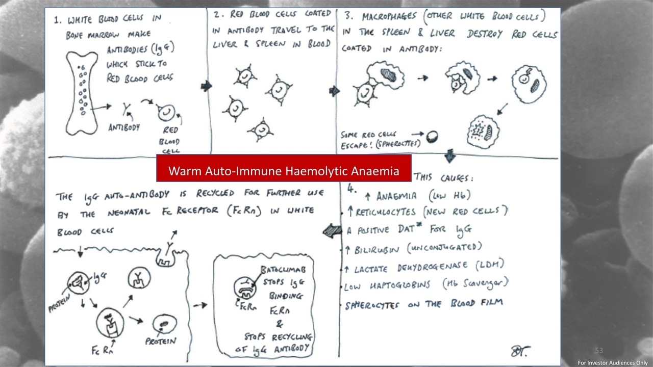 Slide 53