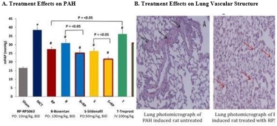 fig12.jpg