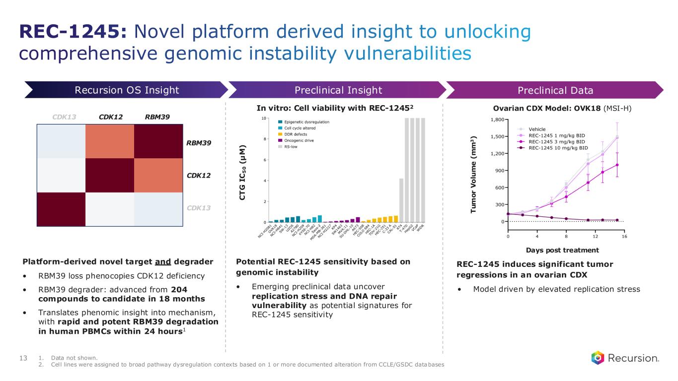 Slide 13