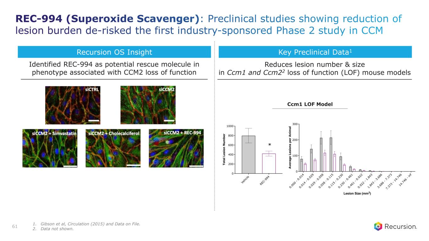 Slide 61