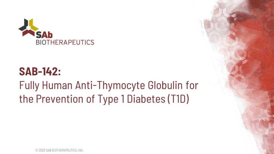 slide14.jpg