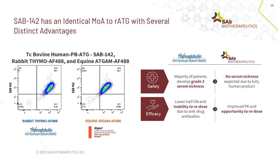 slide19.jpg