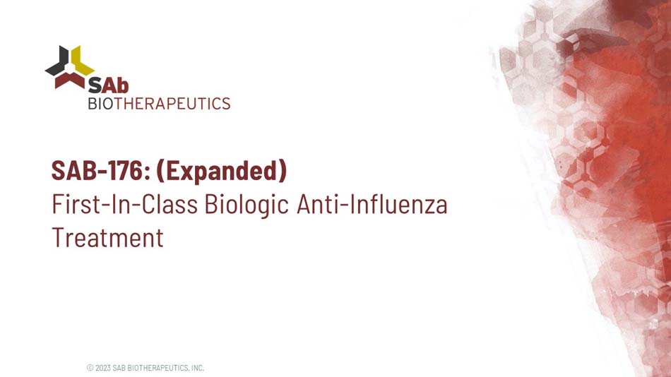 slide24.jpg