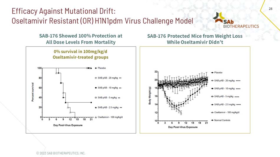slide28.jpg