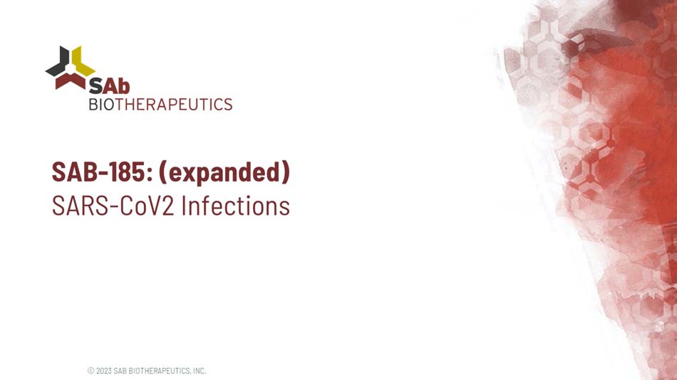 slide29.jpg
