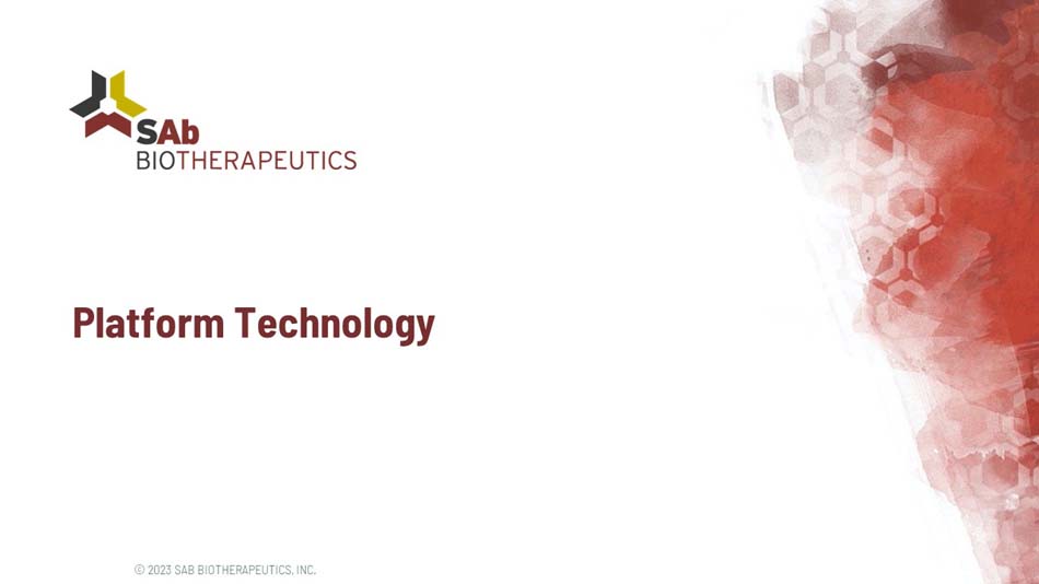 slide5.jpg