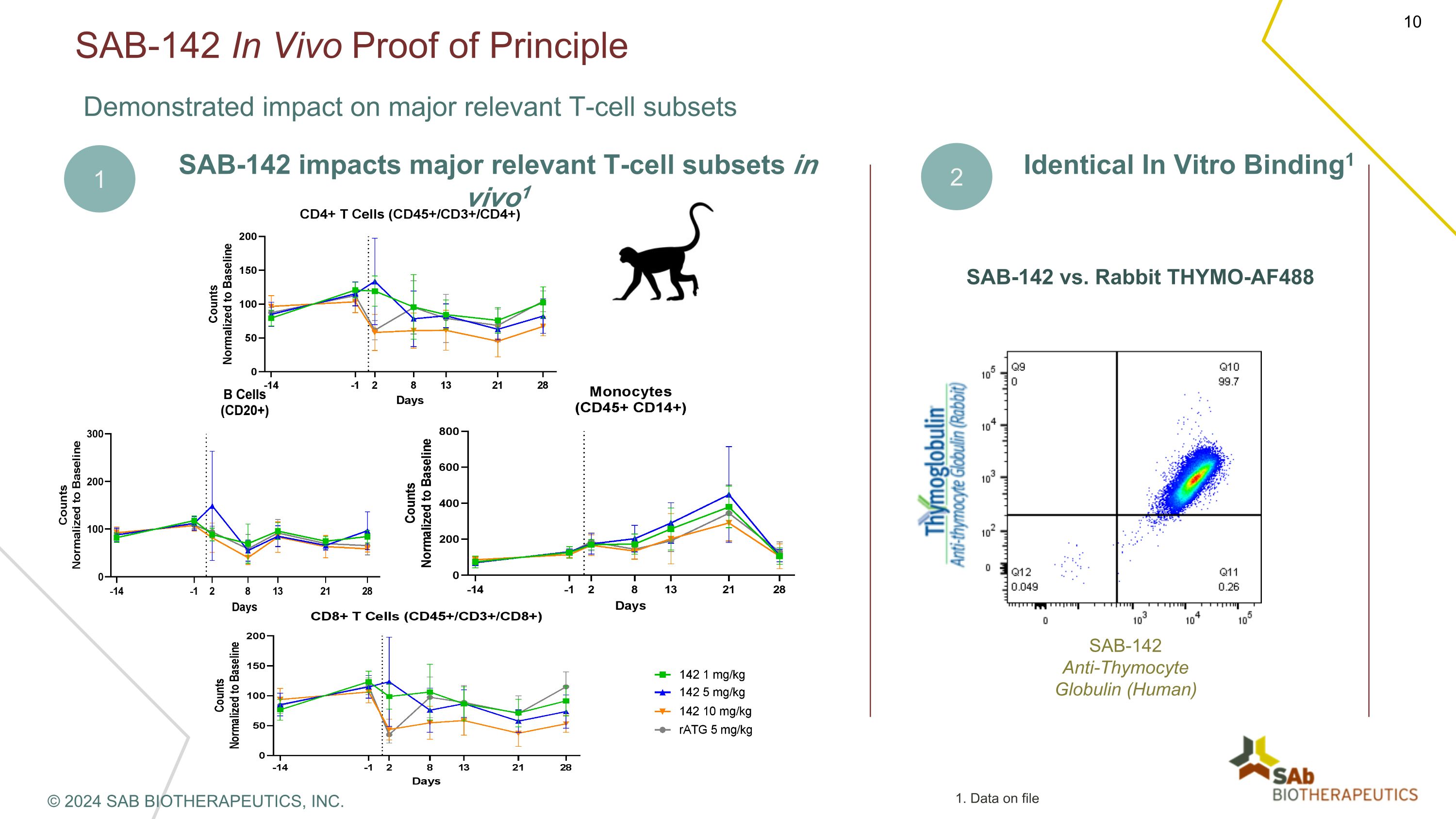 Slide 10