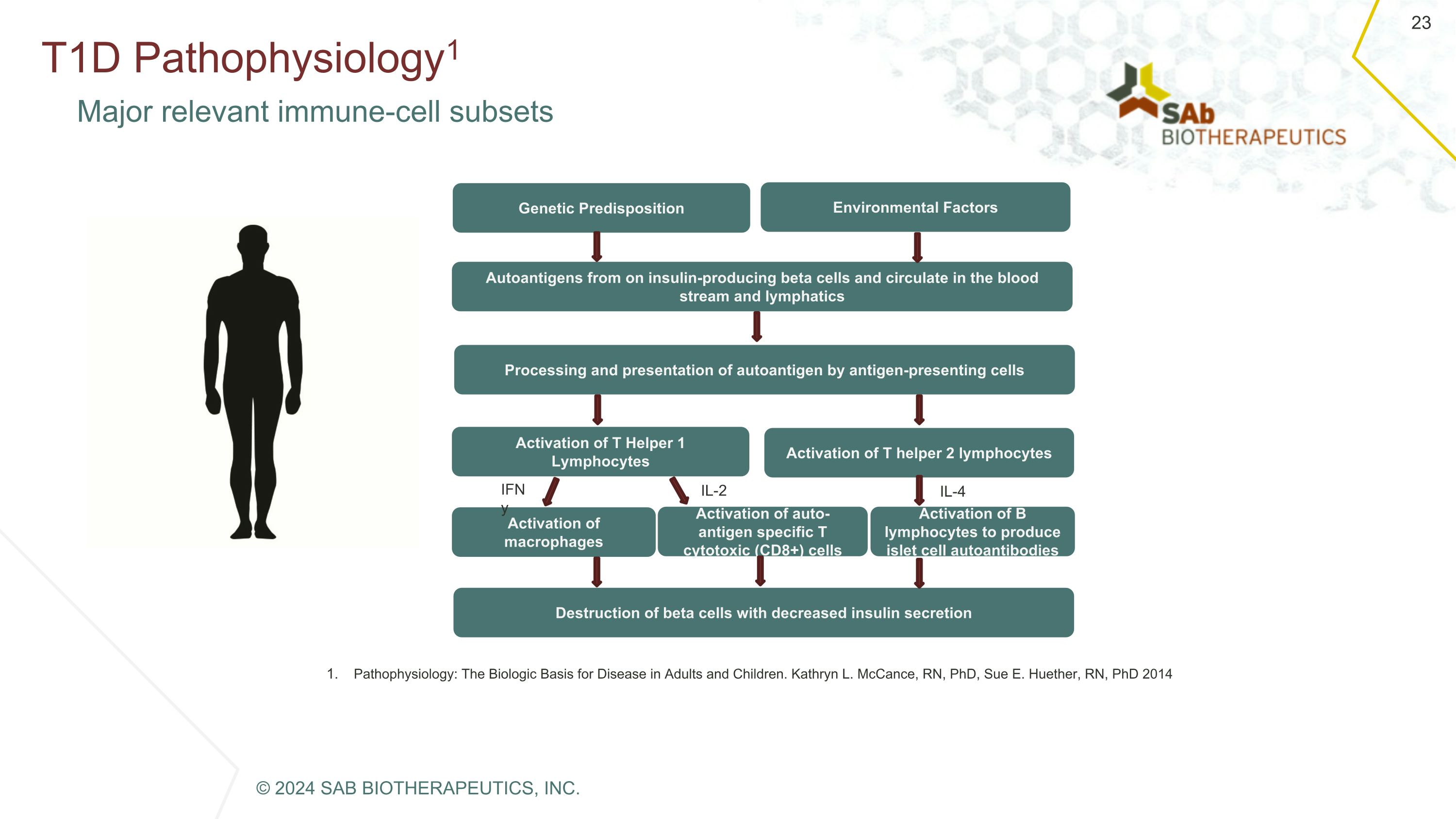 Slide 23