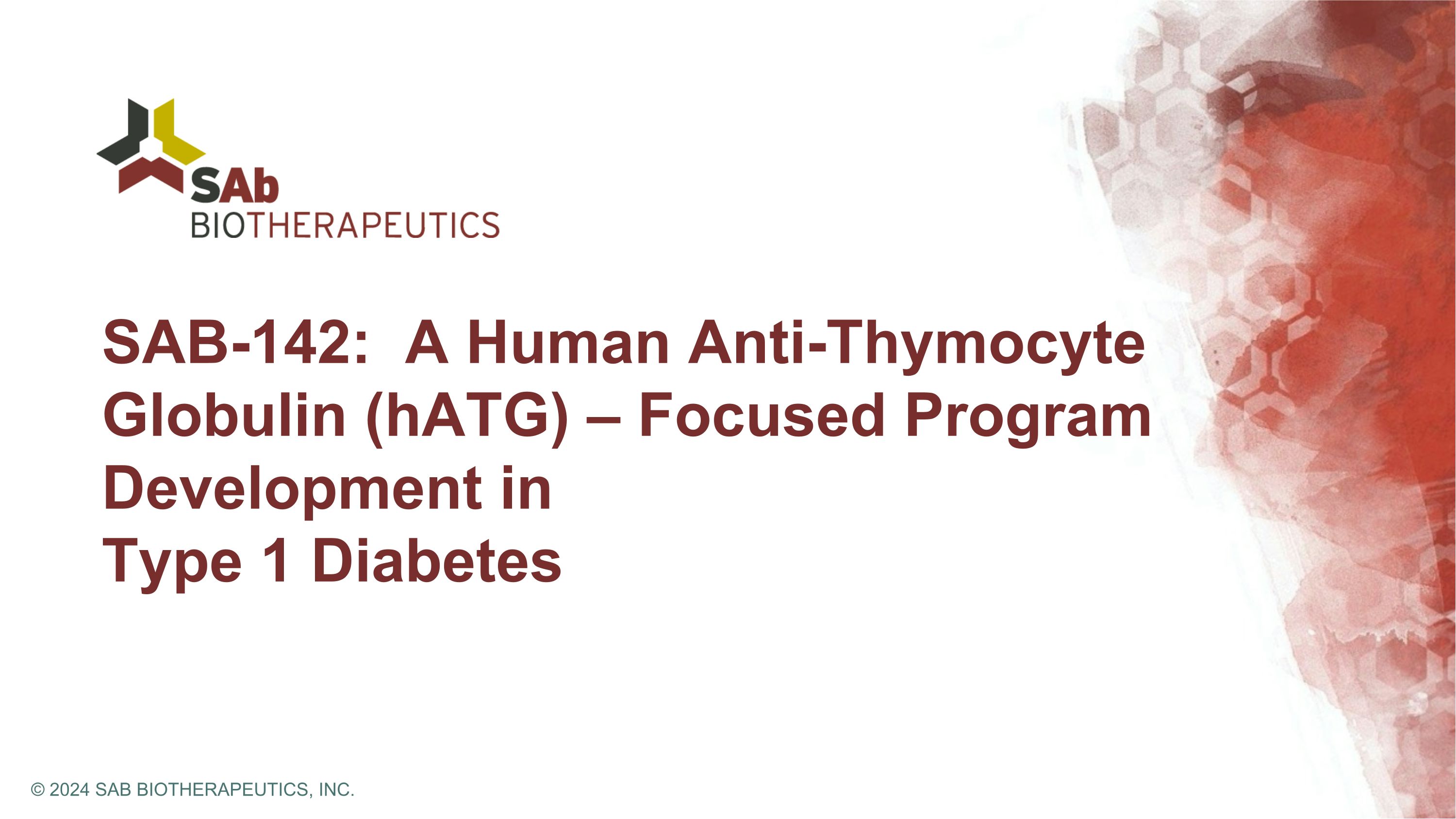 Slide 6