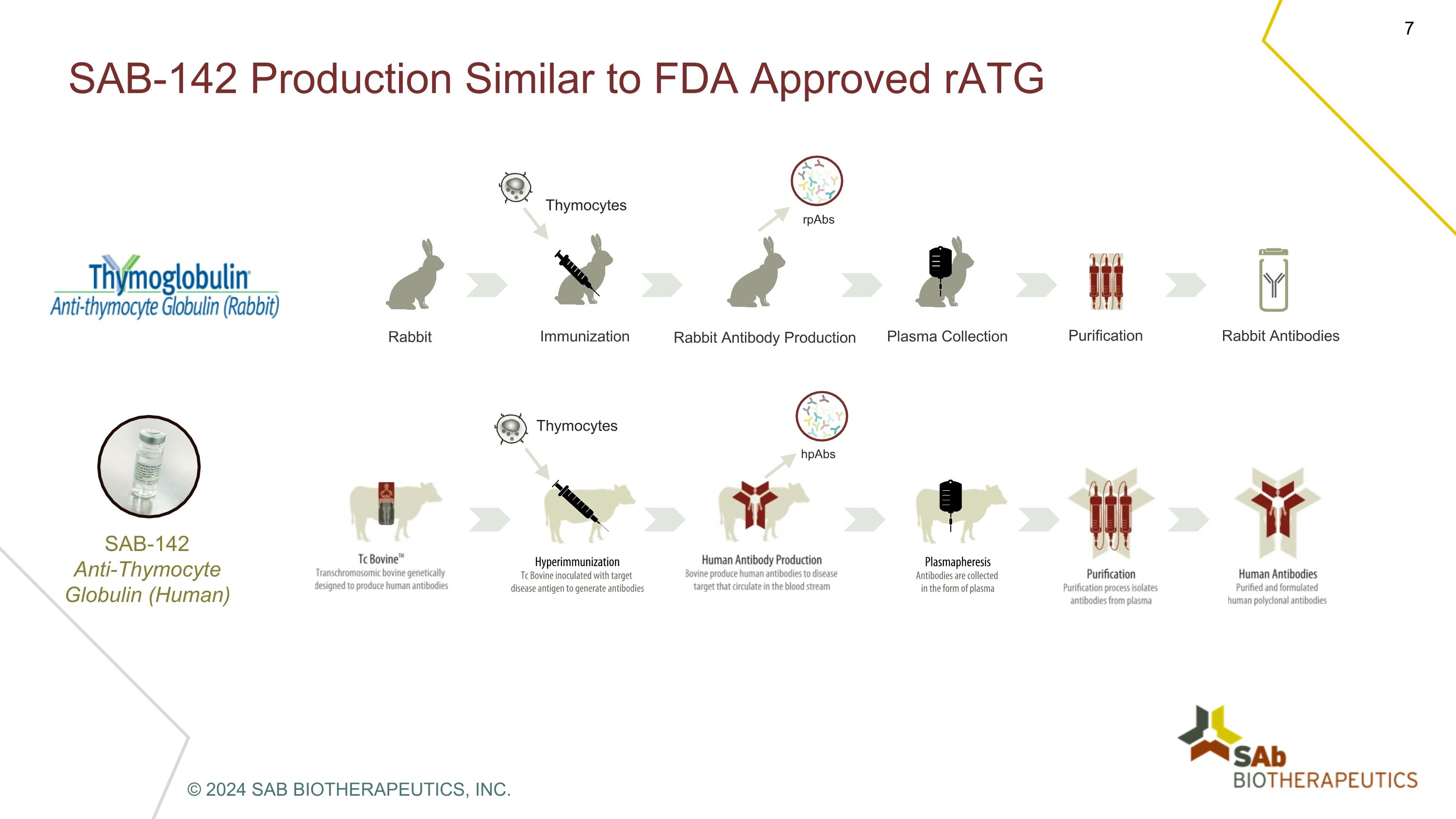 Slide 7