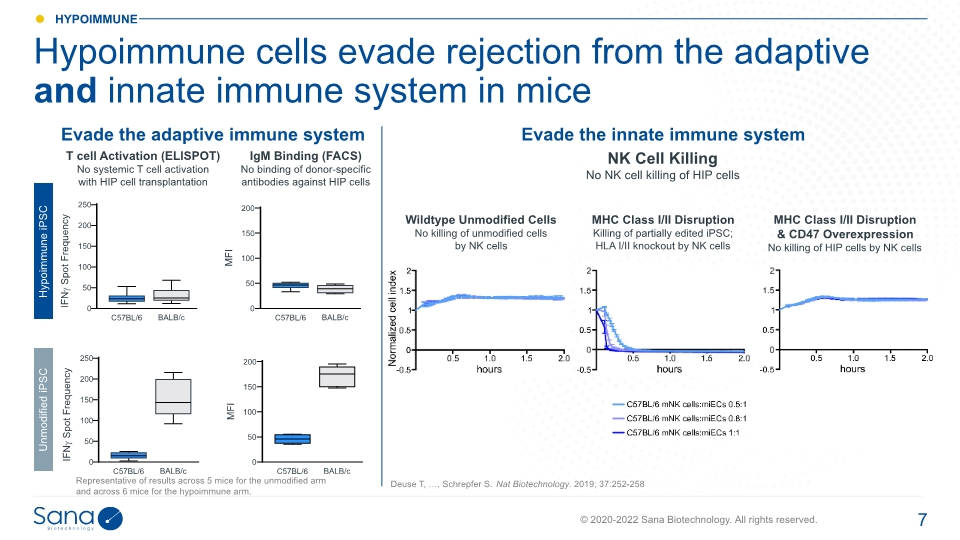 Slide 7