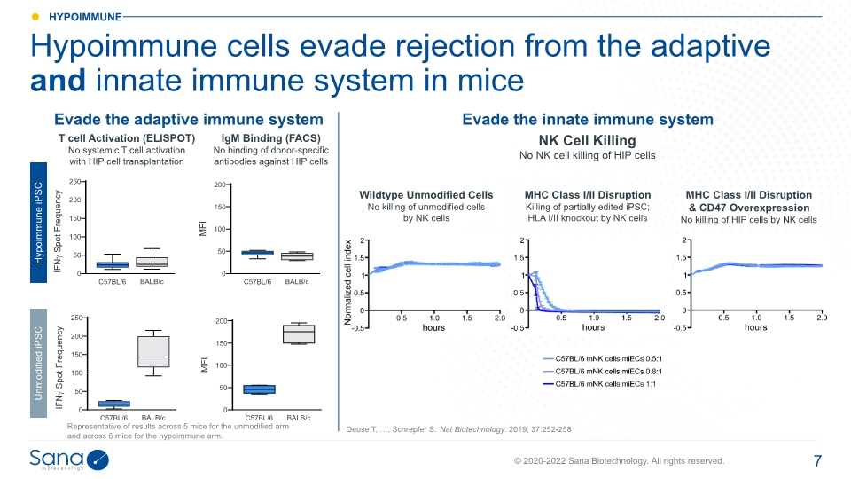 Slide 7