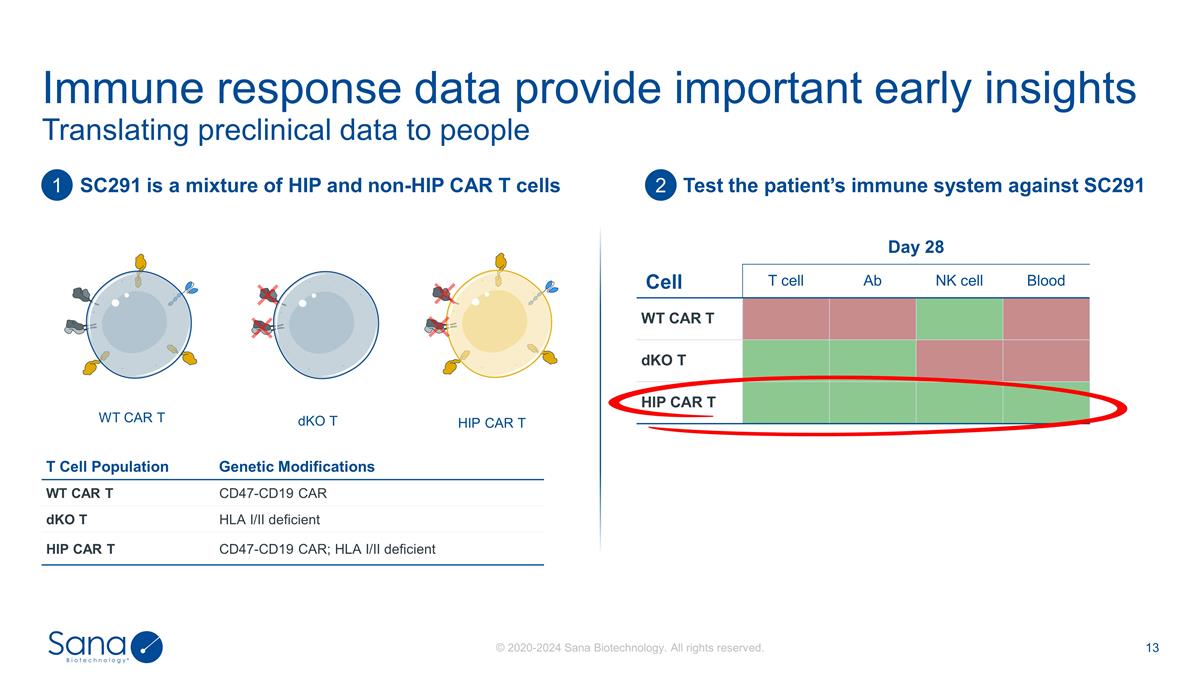 Slide 13