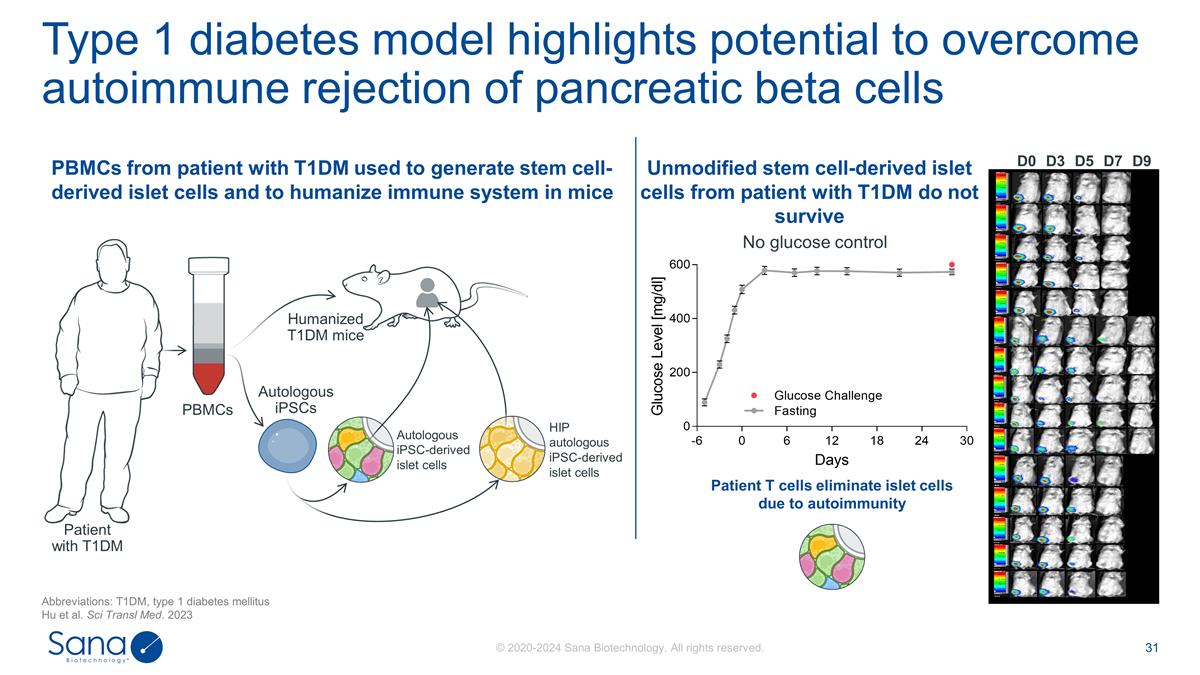 Slide 31