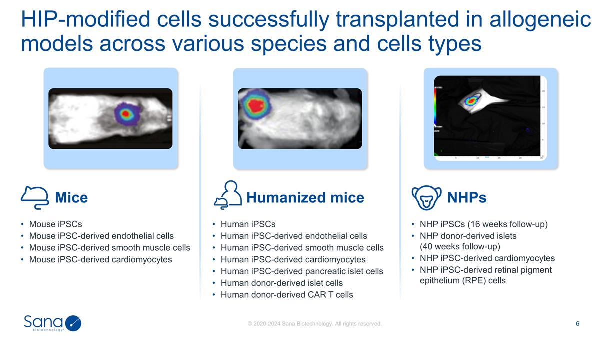 Slide 6