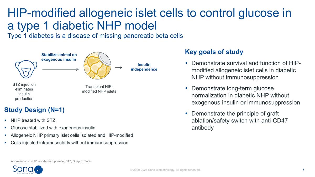 Slide 7
