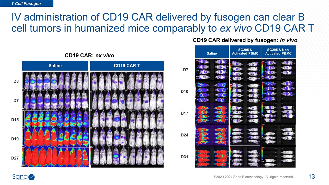 Slide 13