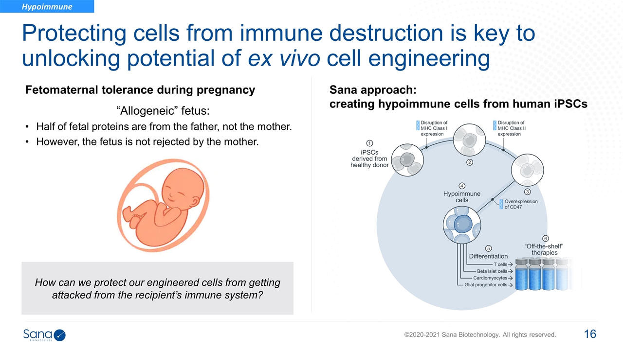 Slide 16