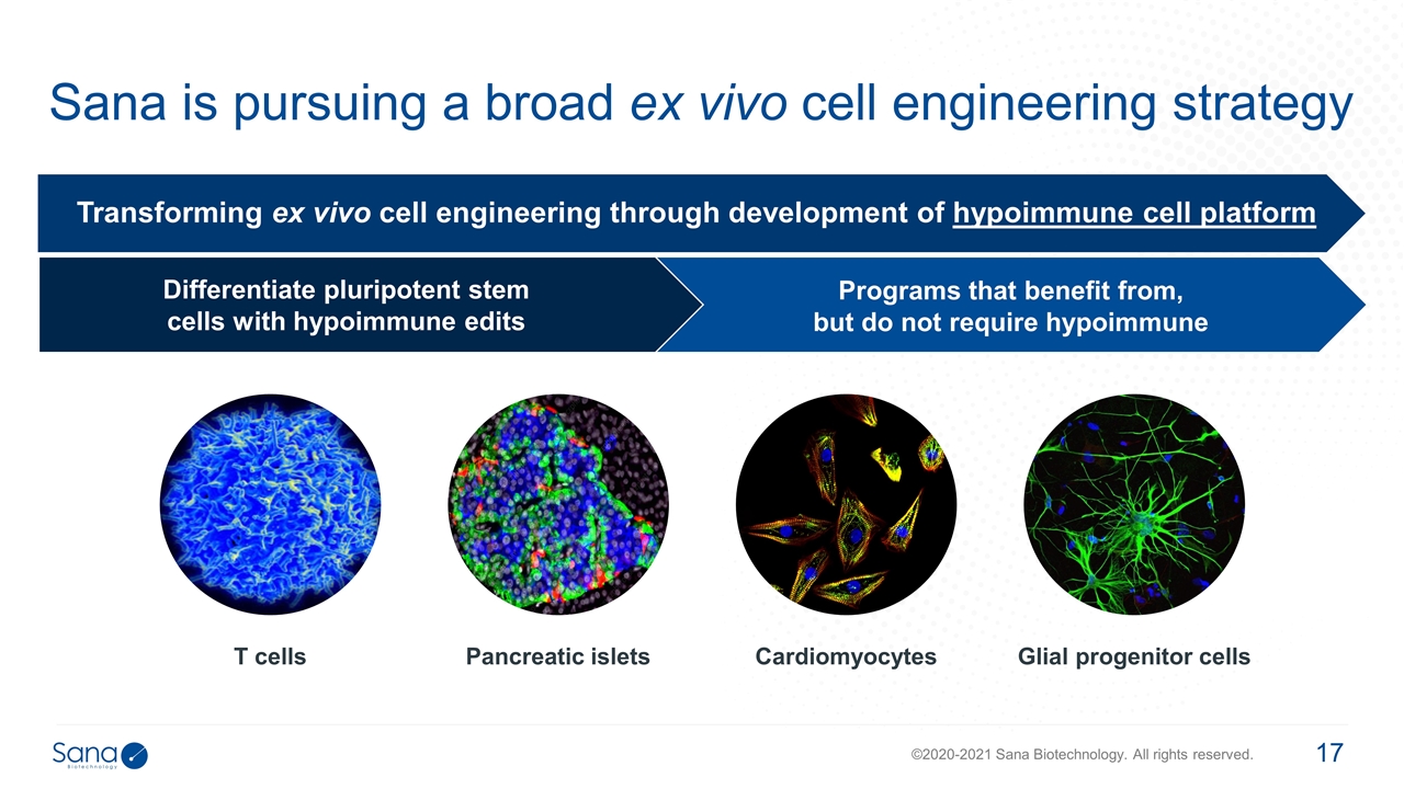 Slide 17