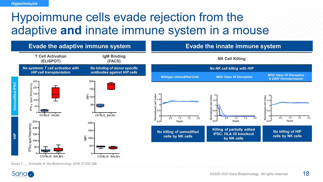 Slide 18