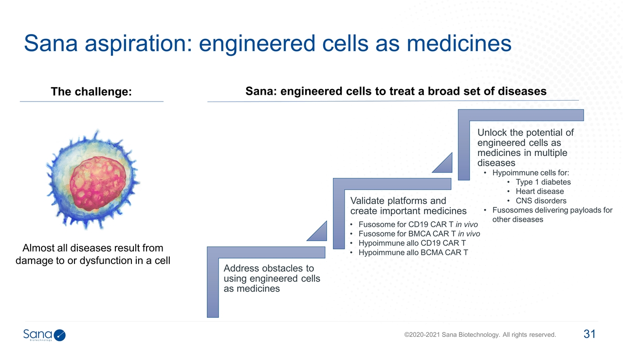 Slide 31