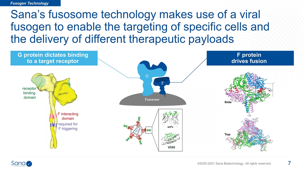 Slide 7