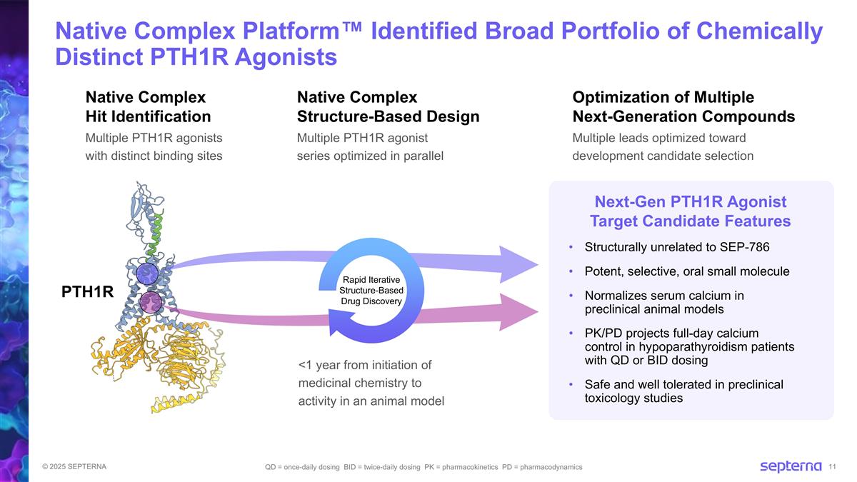 Slide 11