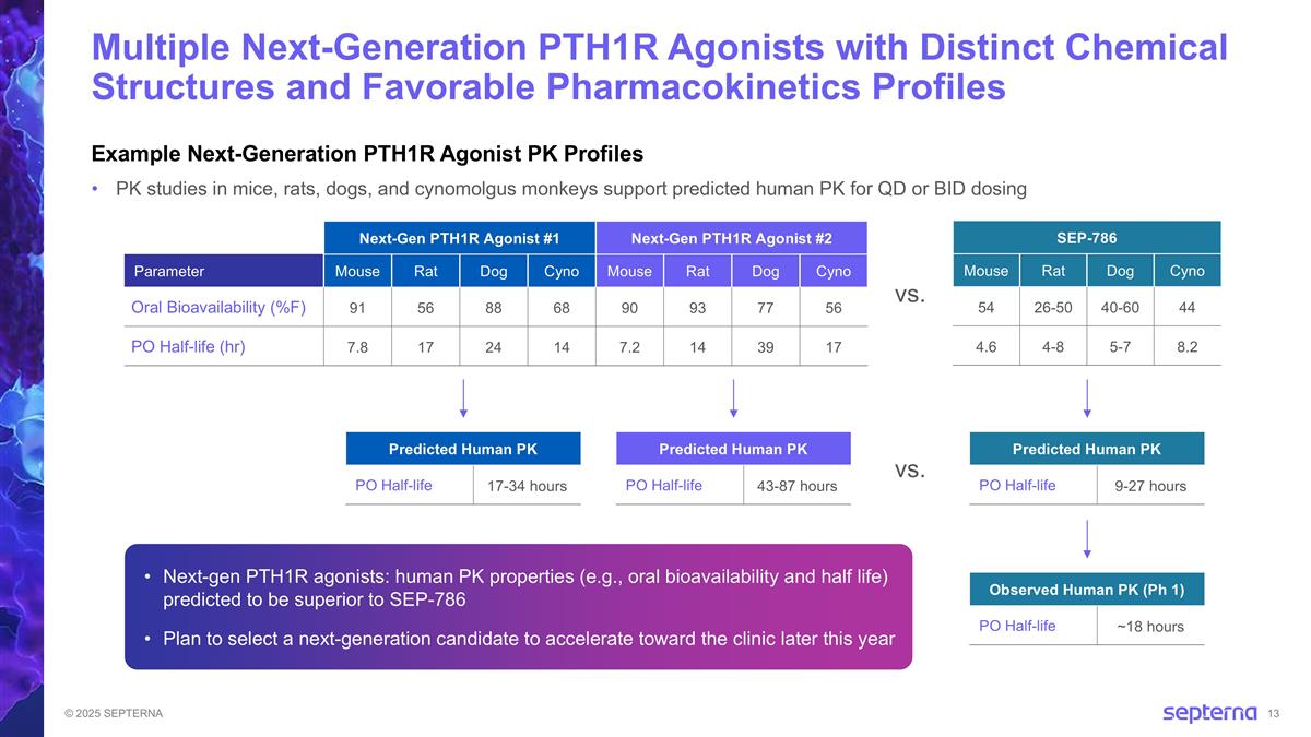 Slide 13
