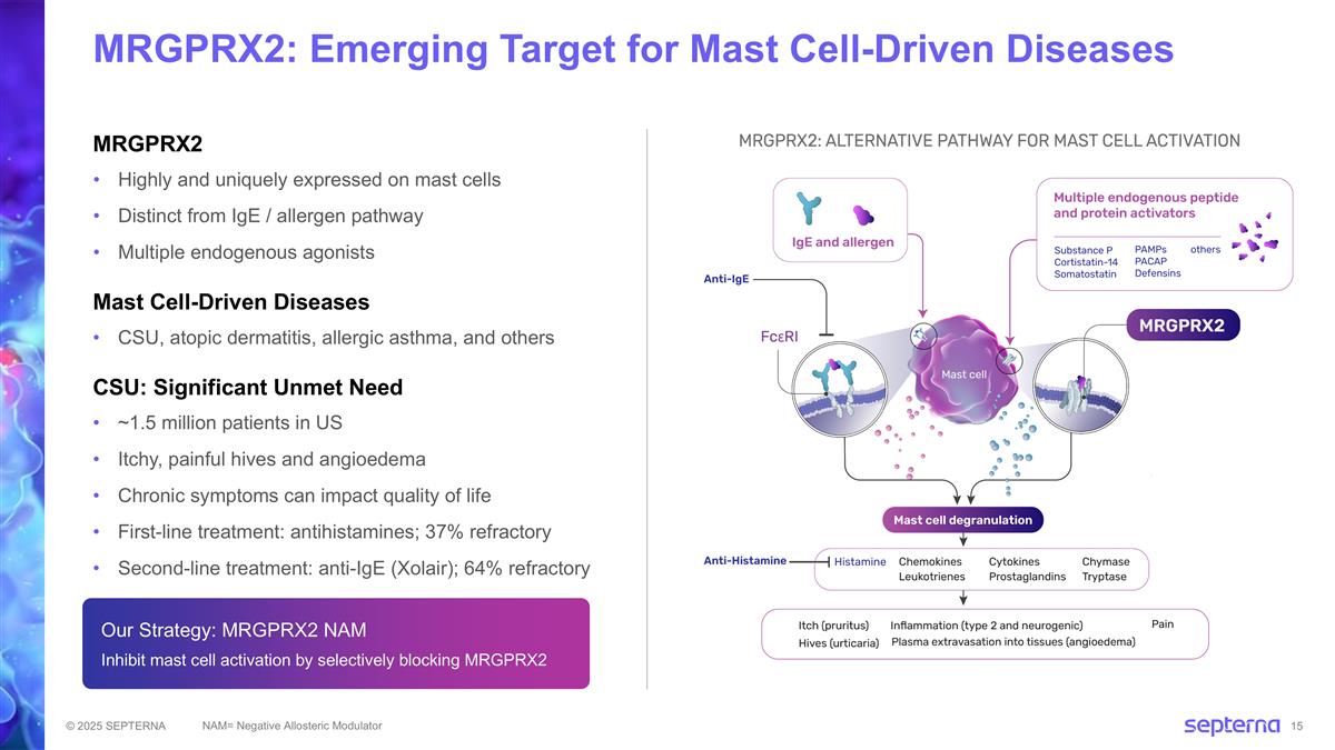 Slide 15