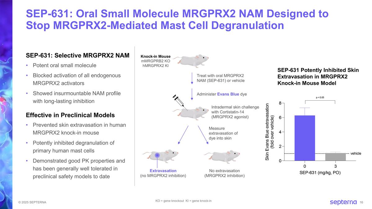 Slide 16
