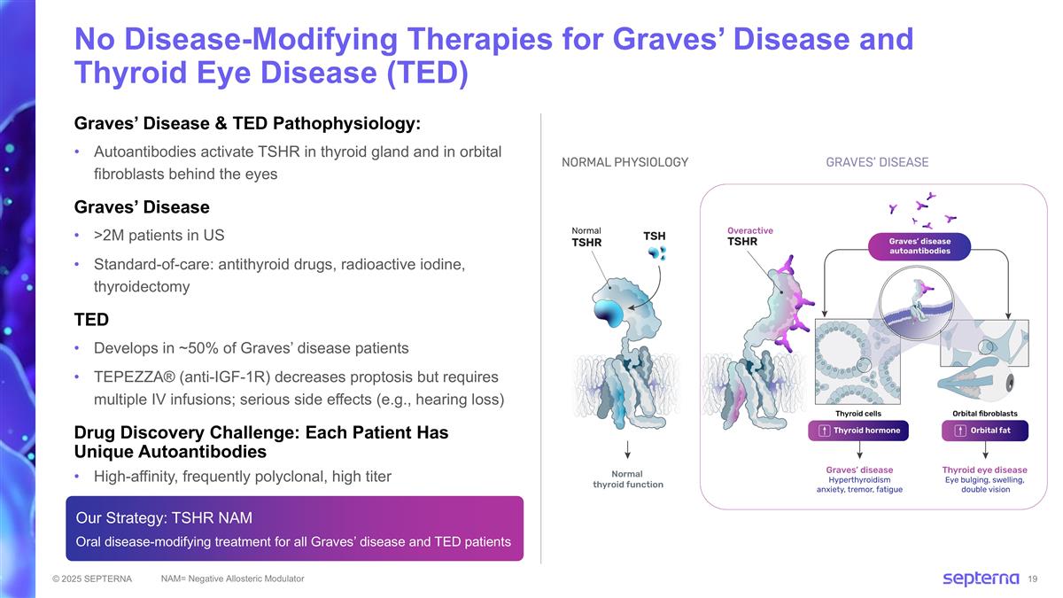 Slide 19