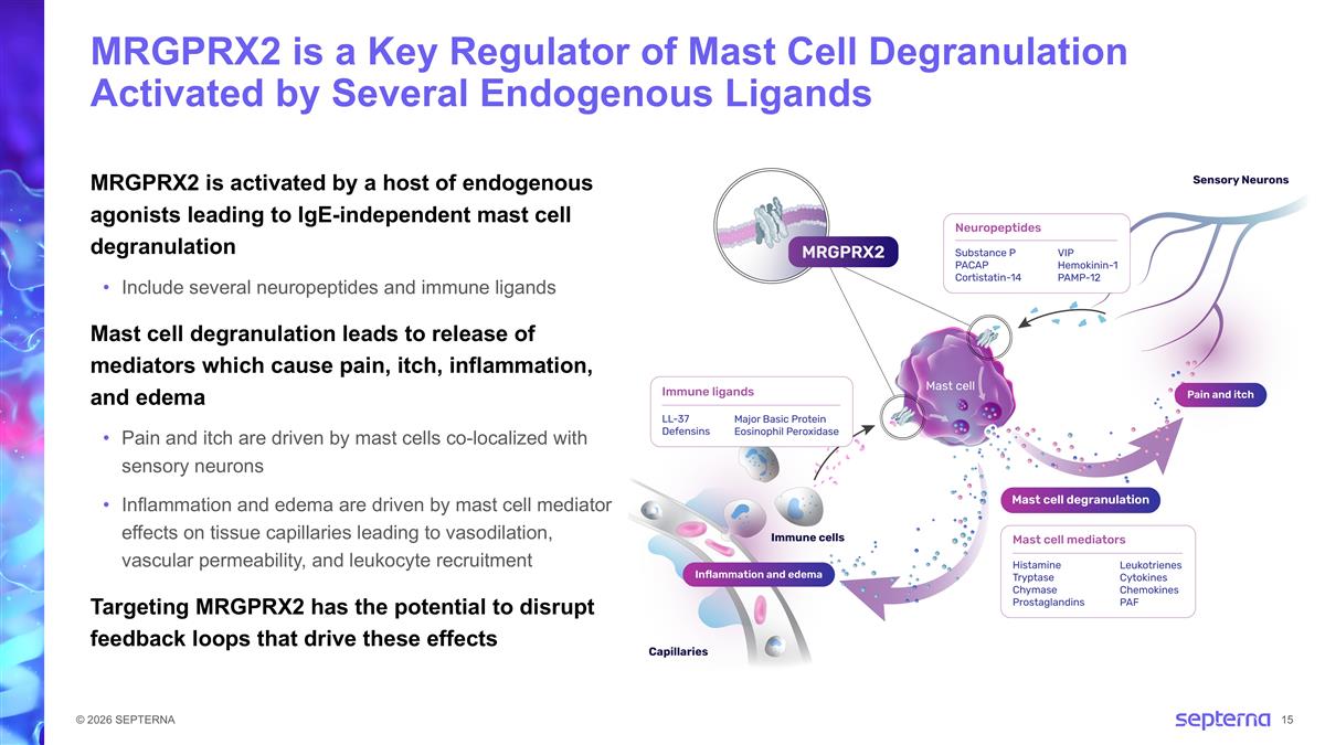Slide 15