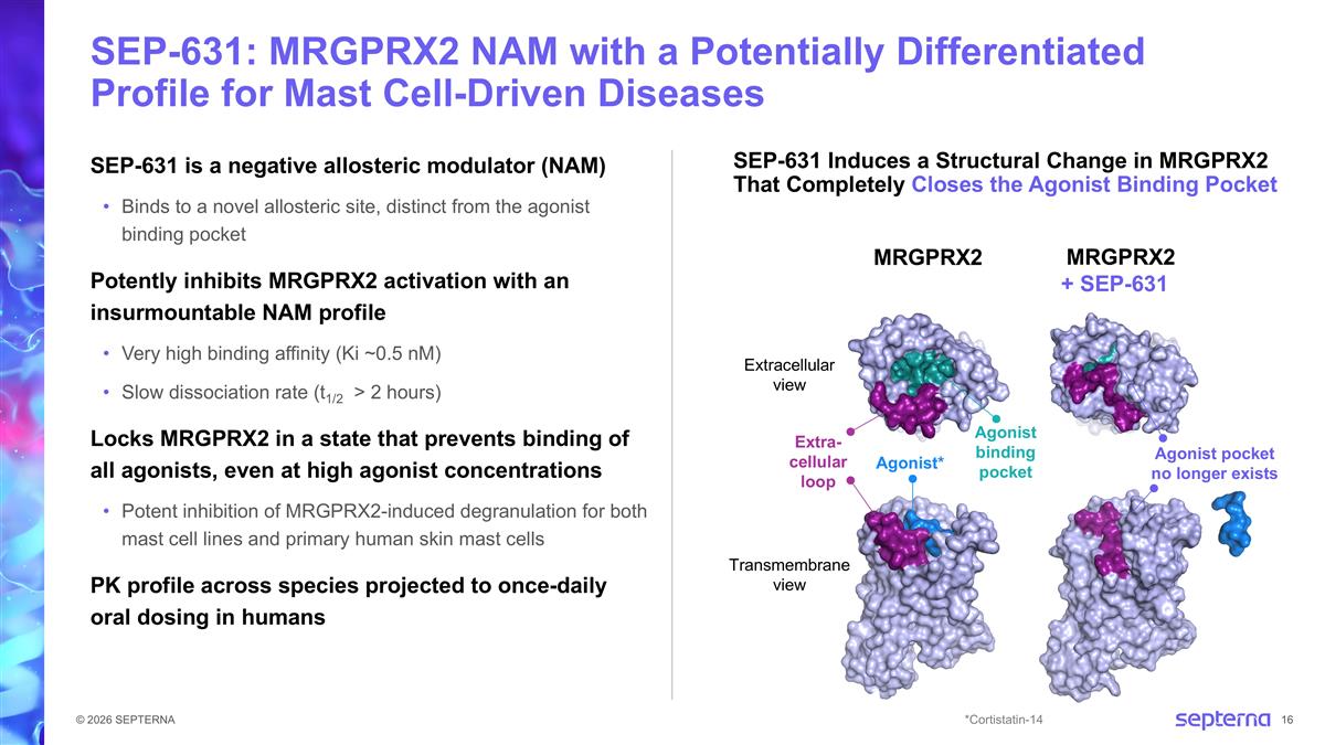 Slide 16