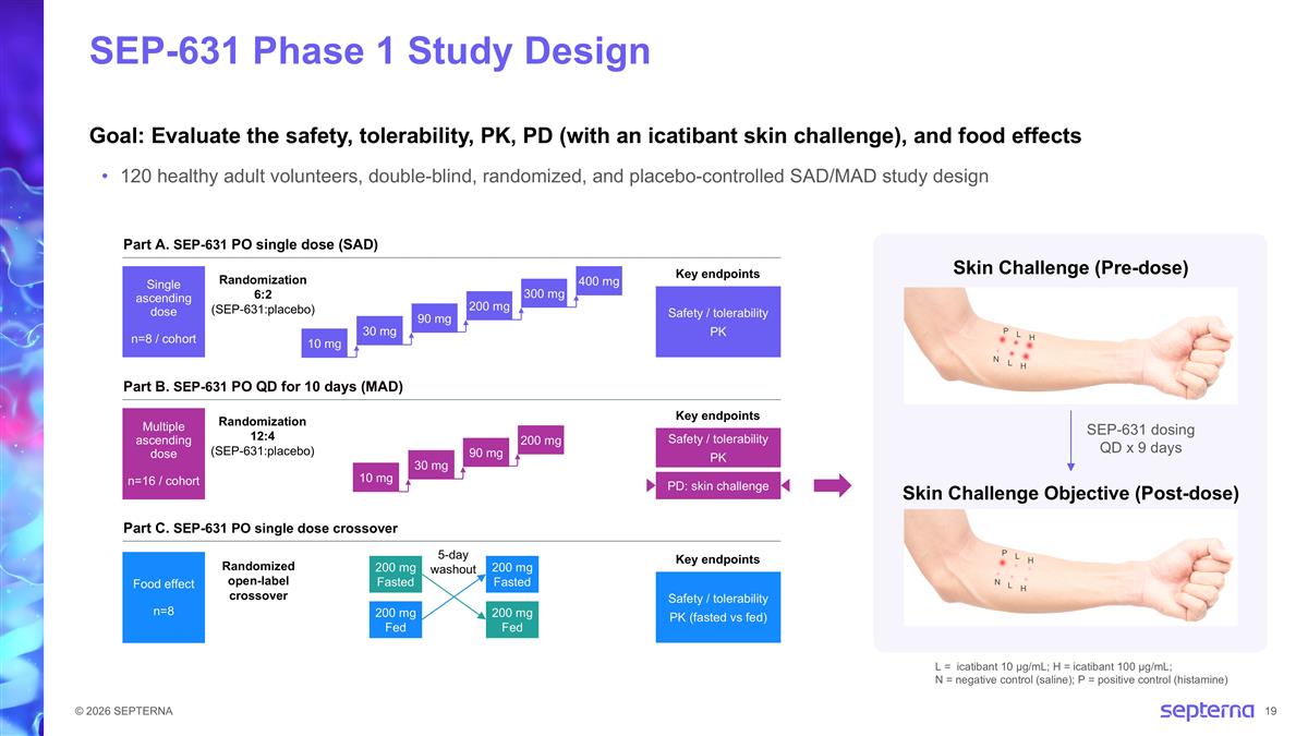 Slide 19