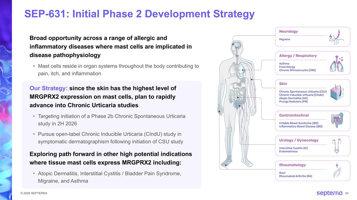 Slide 24