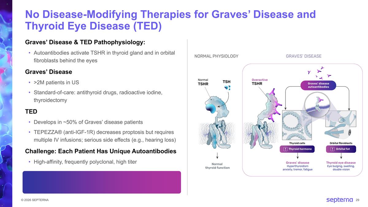 Slide 29