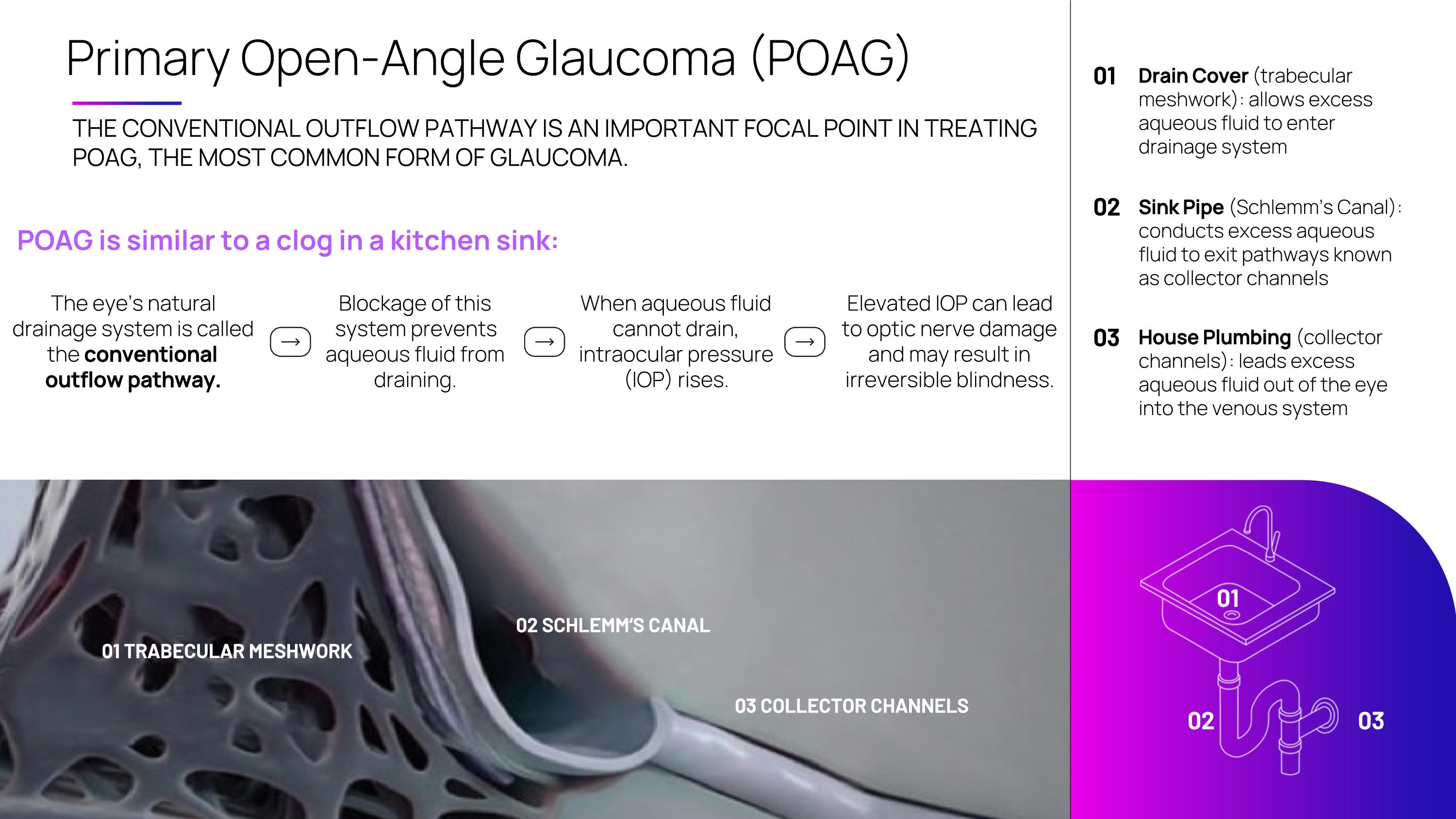 Slide 9