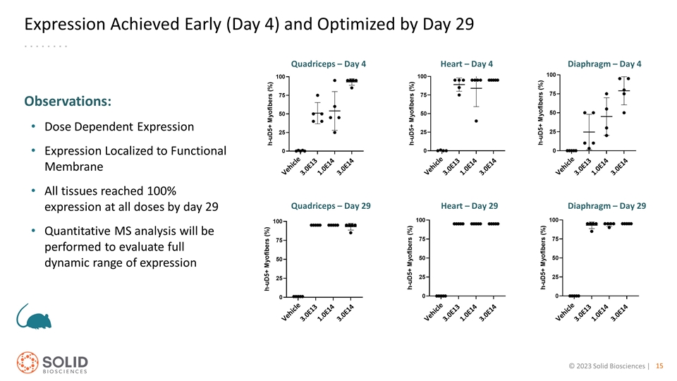 Slide 15