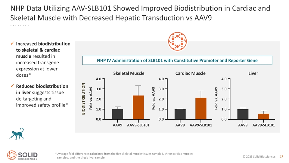 Slide 17