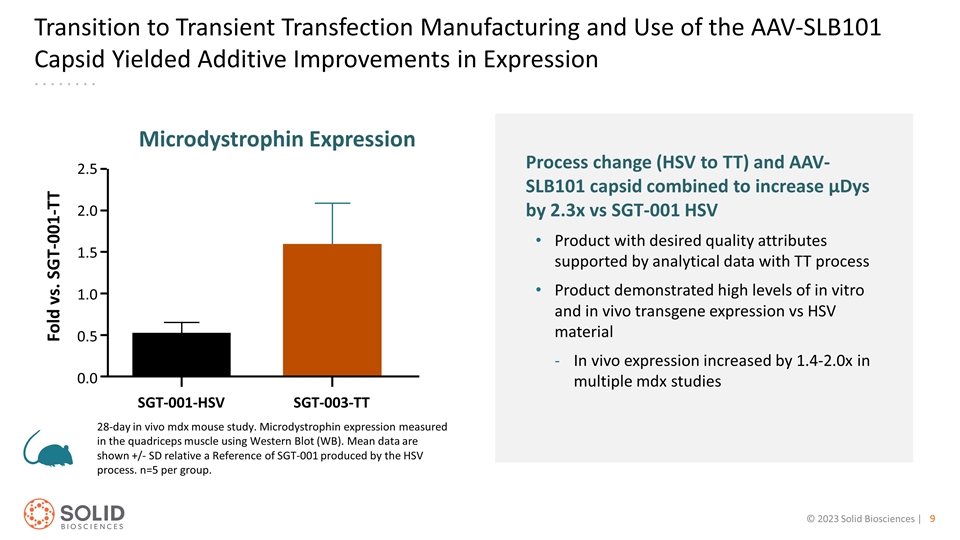 Slide 9